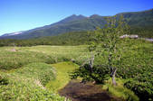 tkf001_814919