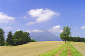 tkf001_816213