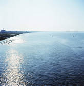 tkf001_817439