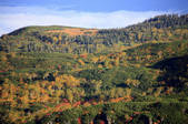 tkf001_817643