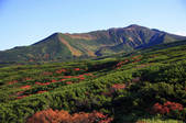 tkf001_817645