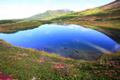 tkf001_817655
