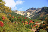 tkf001_817665