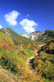 tkf001_817666