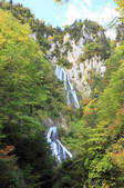 tkf001_817677