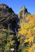 tkf001_817688