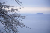 tkf001_817695