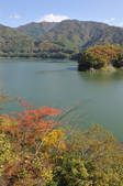 tkf001_817706