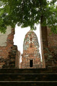 tkf001_818582