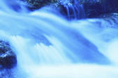 tkf001_818722