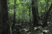 tkf001_818942