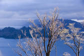 tkf001_820045