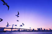 tkf001_820163