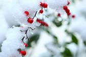 tkf001_820306
