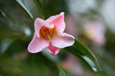 tkf001_820325