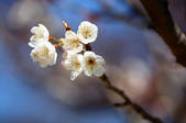 tkf001_820354