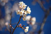 tkf001_820355