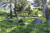 tkf001_820417