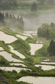 tkf001_820420