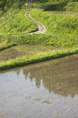 tkf001_820421