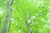 tkf001_820422