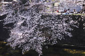 tkf001_821246