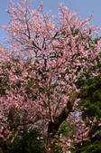 tkf001_821609