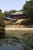 tkf001_822694