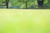 tkf001_826075