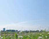 tkf001_826106