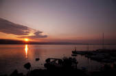 tkf001_826615