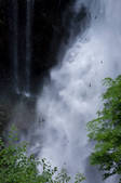 tkf001_827985
