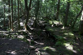 tkf001_828022