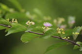tkf001_829807