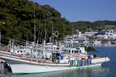 tkf001_836604
