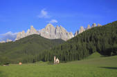 tkf001_836669