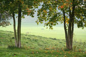 tkf001_462967