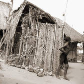 tkf001_466222
