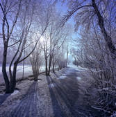 tkf001_473698