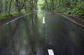 tkf001_476021