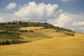 tkf001_482449