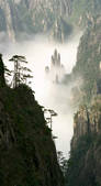 tkf001_482910