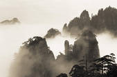 tkf001_483009
