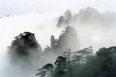 tkf001_483188