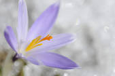 tkf001_491041