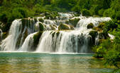 tkf001_492200