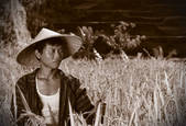 tkf001_494688