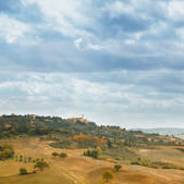 tkf001_508342