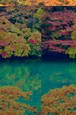 tkf001_551272