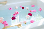 tkf001_552256